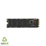 اس اس دی لکسار NM620 M2 1TB