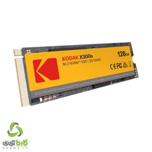 KODAK x300 128GB M.2