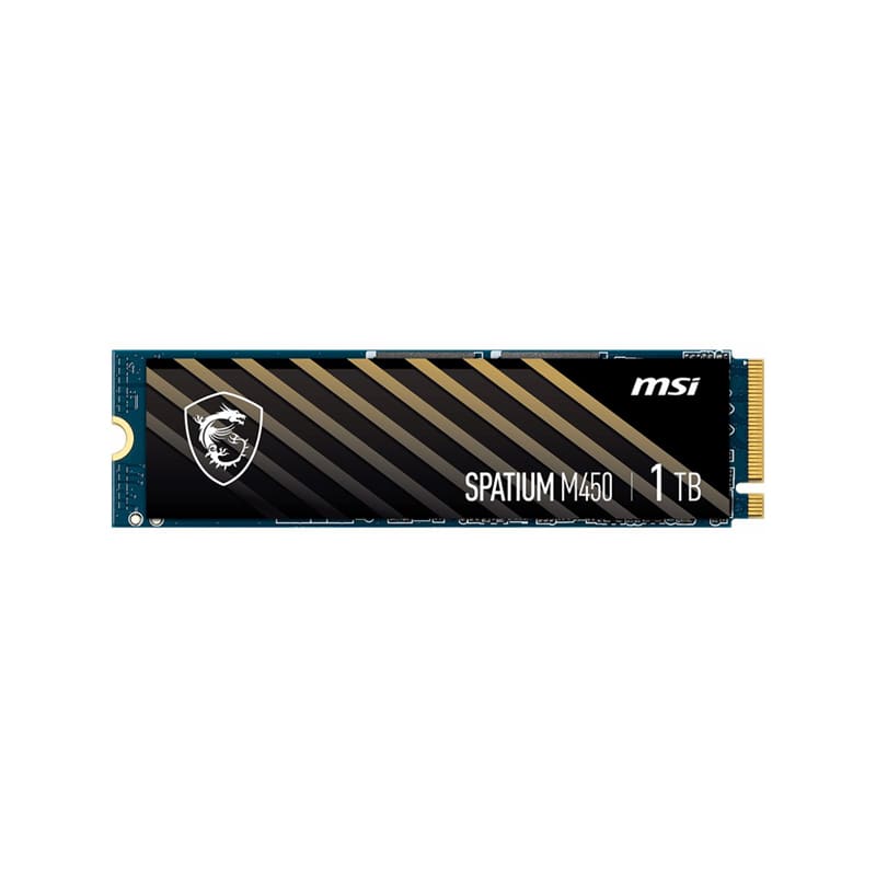 اس اس دی ام اس آی SPATIUM M450 NVMe M.2 1TB