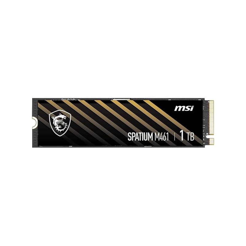 اس اس دی ام اس آی SPATIUM M461 PCIe 4.0 NVMe M.2 1TB