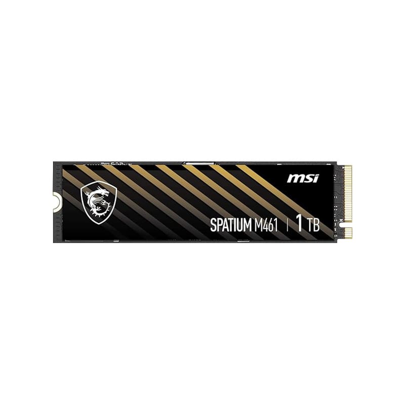 اس اس دی ام اس آی SPATIUM M461 PCIe 4.0 NVMe M.2 1TB