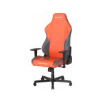 صندلی گیمینگ دی ایکس ریسر مدل Drifting Series 2025 L Autumn 17 صندلی گیمینگ دی ایکس ریسر مدل Drifting Series 2025 L Autumn