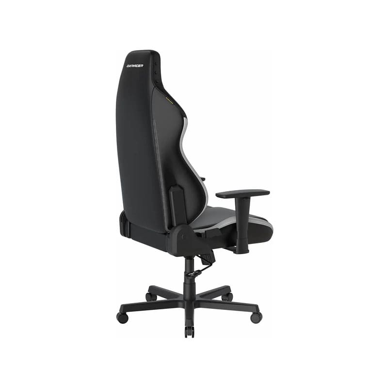 صندلی گیمینگ دی ایکس ریسر مدل Drifting Series 2025 L Black White 6 صندلی گیمینگ دی ایکس ریسر مدل Drifting Series 2025 L Black White