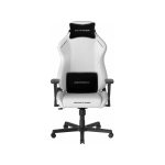صندلی گیمینگ دی ایکس ریسر مدل Drifting Series 2025 L White