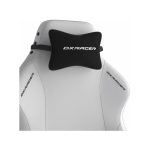 صندلی گیمینگ دی ایکس ریسر مدل Drifting Series 2025 L White