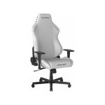 صندلی گیمینگ دی ایکس ریسر مدل Drifting Series 2025 L White
