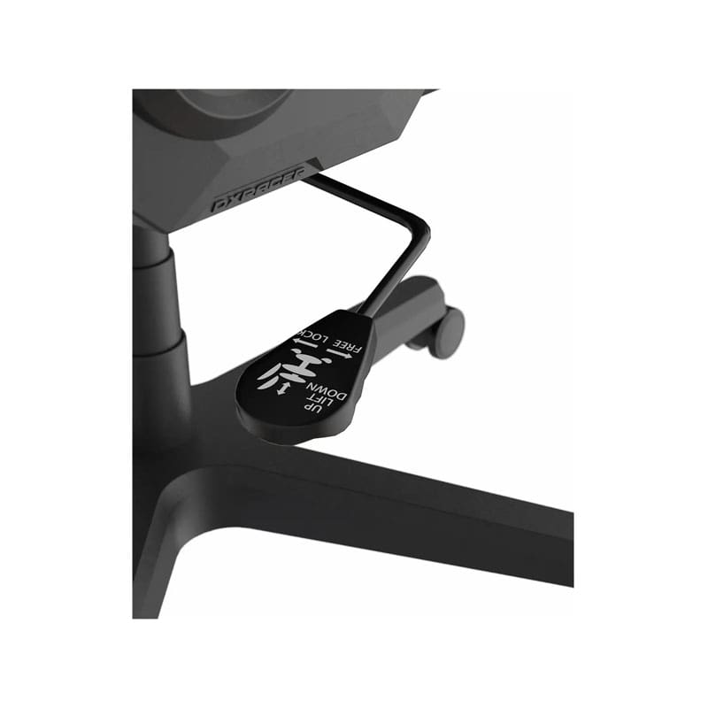 صندلی گیمینگ دی ایکس ریسر مدل Formula Series 2025 L Black White 13 صندلی گیمینگ دی ایکس ریسر مدل Formula Series 2025 L Black White