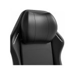 صندلی گیمینگ دی ایکس ریسر مدل Master Series 2025 XL Black