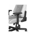 صندلی گیمینگ دی ایکس ریسر مدل Master Series 2025 XL White