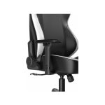 صندلی گیمینگ دی ایکس ریسر مدل Tank Series 2025 Black White
