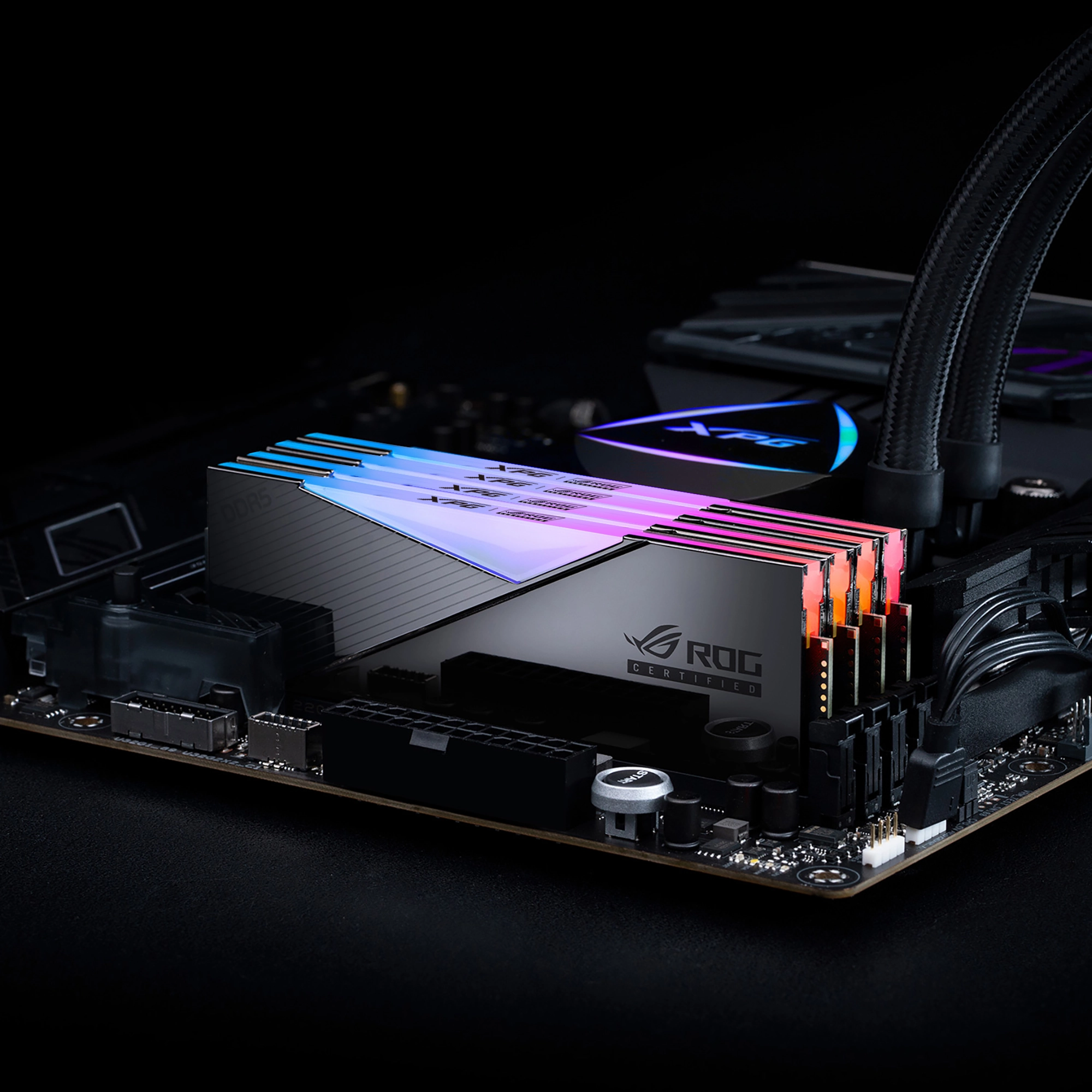 LANCER RGB ROG 6600MHz
