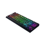 BlackWidow V4 Tenkeyless