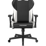 صندلی گیمینگ دی ایکس ریسر مدل Prince Series 2025 L Black White GC/LPF24LTC/NW
